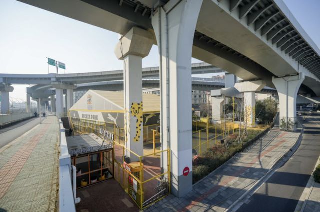 提升kaiyun官网开云体育设施供给加速创新“体育+”消费 解读《上海市发展条例》②(图4)